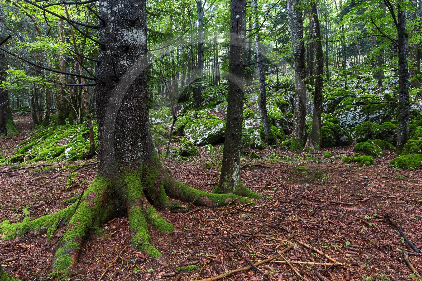ENS de l'Isère, Les Ecouges