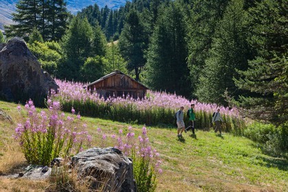 Randonnée montagne