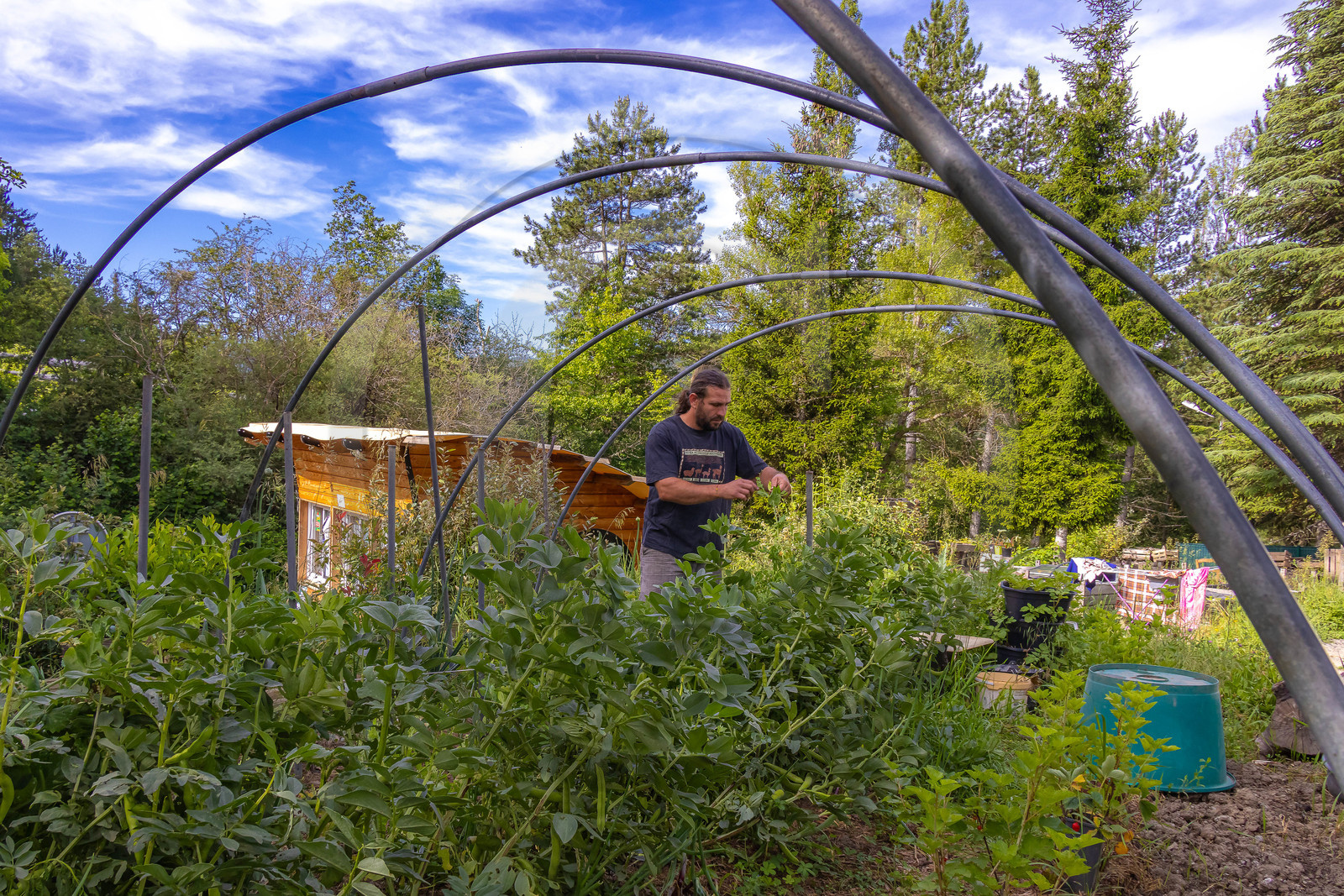 Camping municipal Le Mousserein