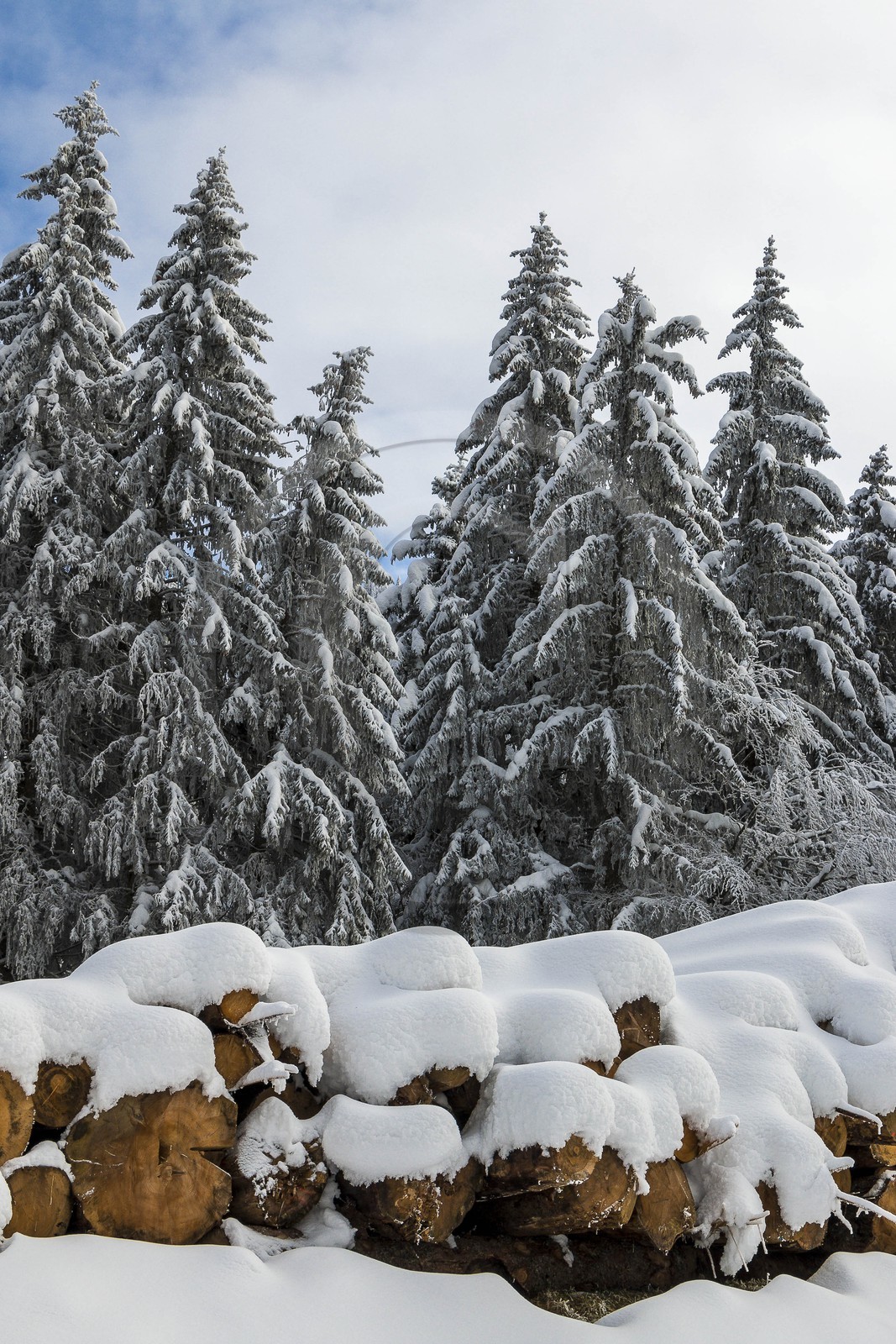 ENS de l'Isère, Les Ecouges