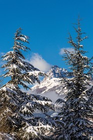 Pays de Serre-Ponçon, Réallon et les Aiguilles de Chabrières