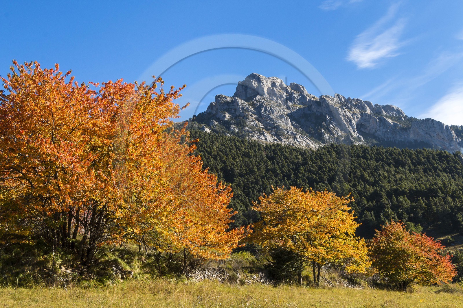 Valdeblore, Baus de la Frema