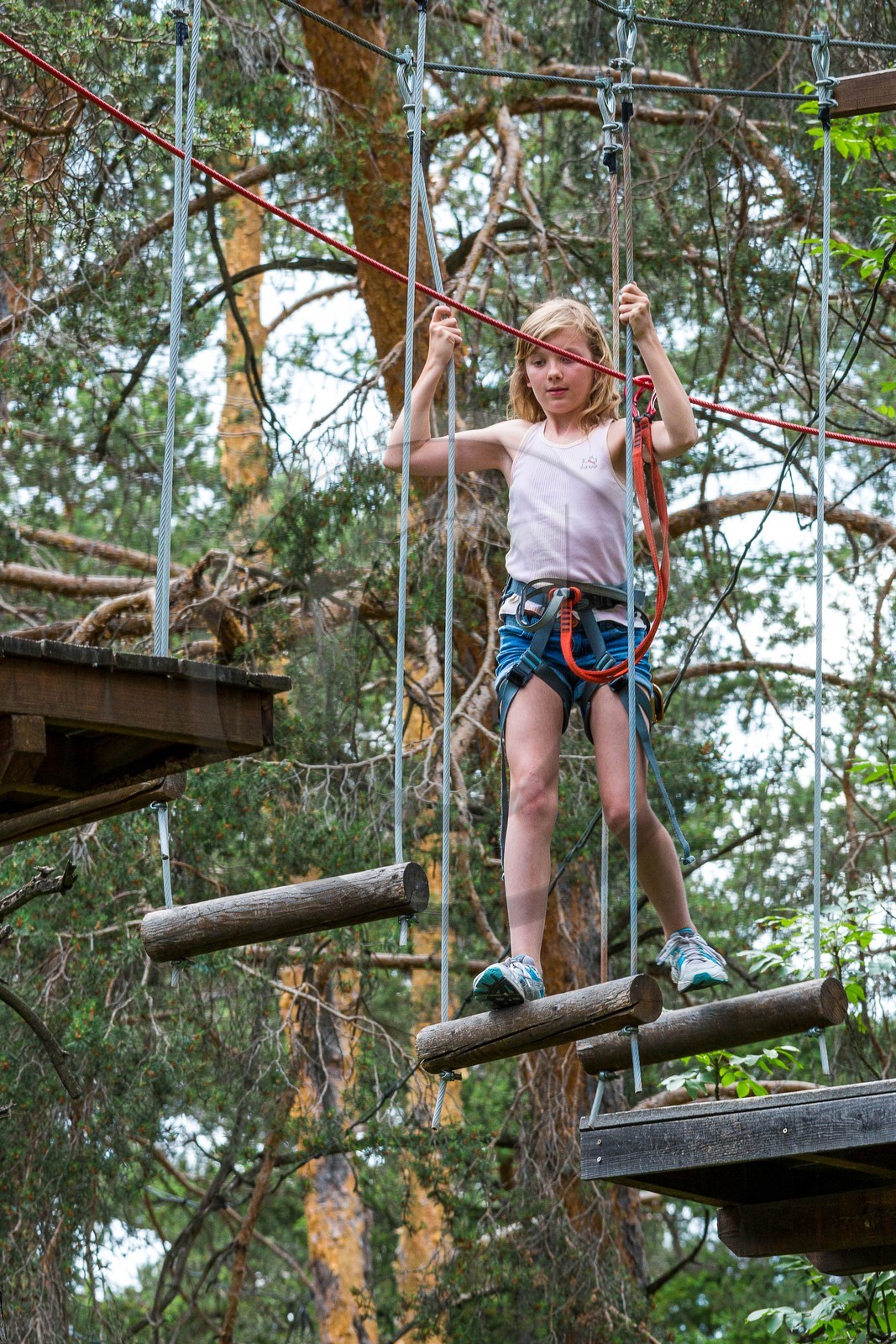 Barcelonnette, Jungle Park, parc aventure, parcours acrobranche, grimper dans les arbres