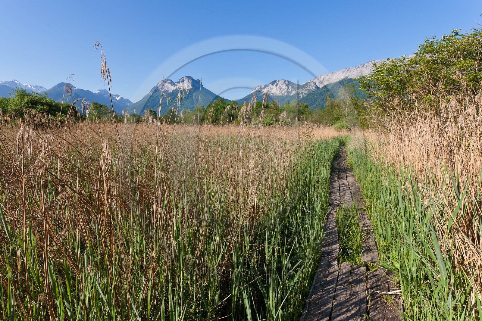 Réserve naturelle du Bout du Lac d'Annecy, sentier pédagogique