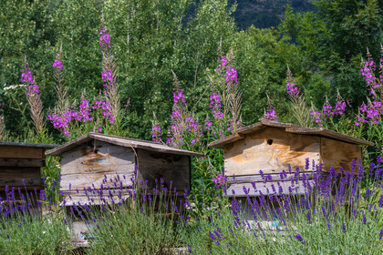 Miellerie de Serre Chevalier
