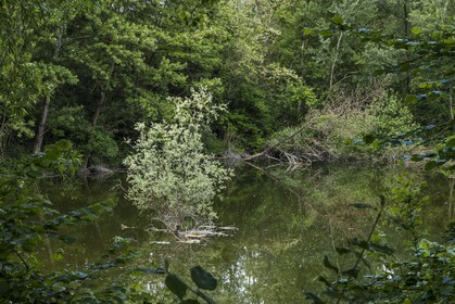 ENS de l'Isère, bois de la Bâtie