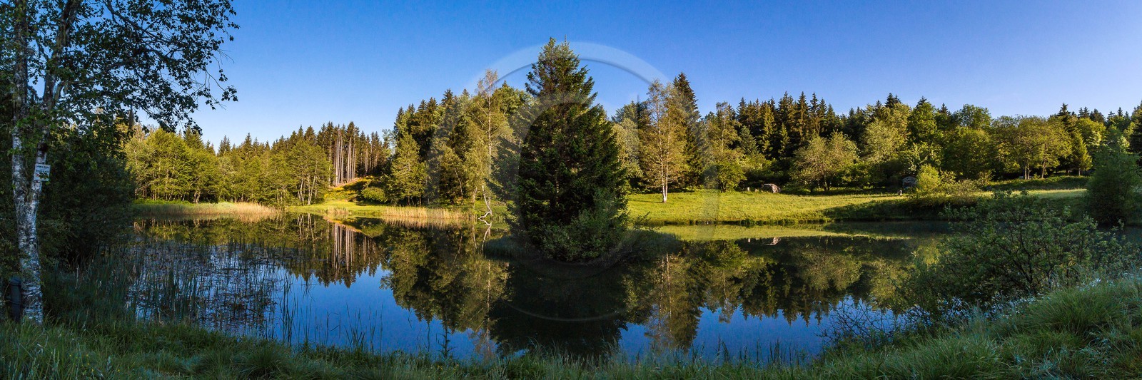 ENS de l'Isère, Marais des Seiglières