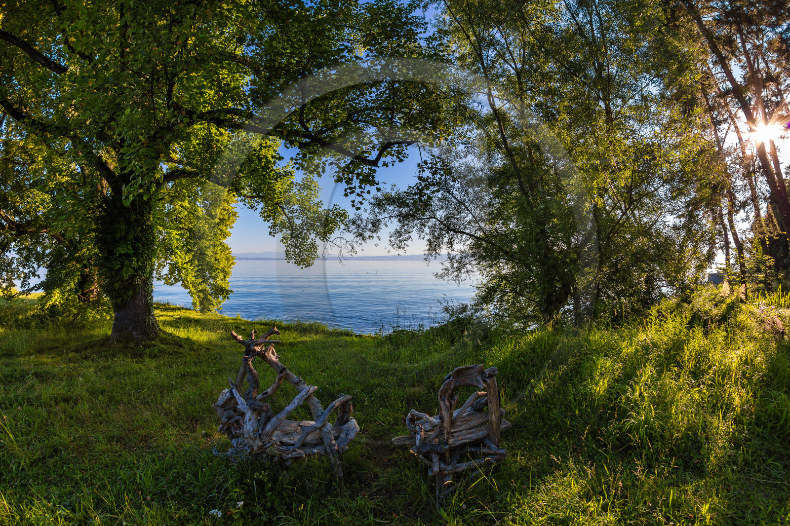 Les jardins de l'eau du Pré Curieux