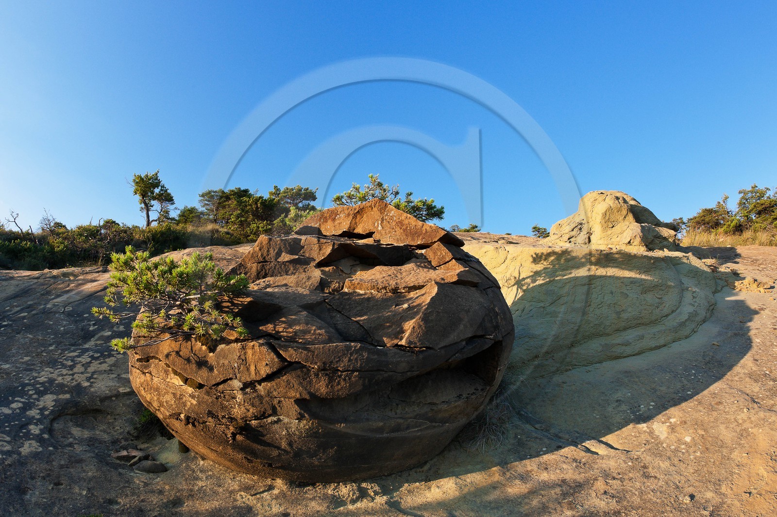 Saint-André de Rosans