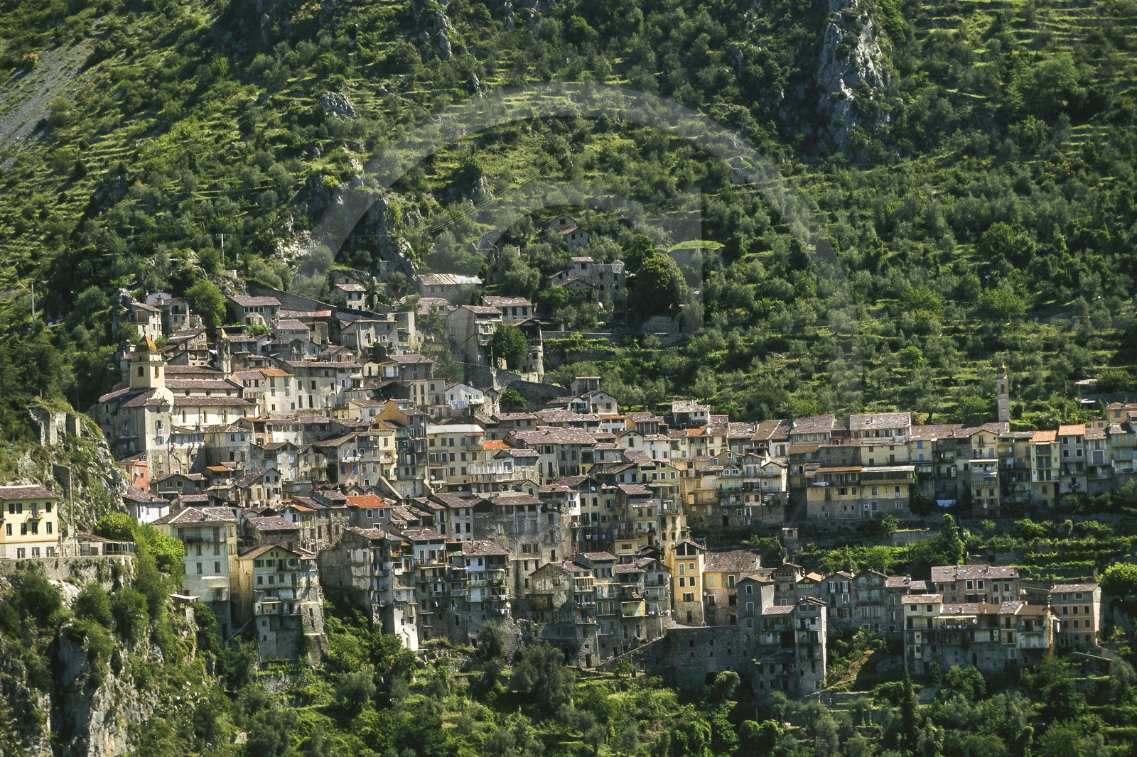 Vallée de la Roya, Parc national du Mercantour, village perché de Saorge