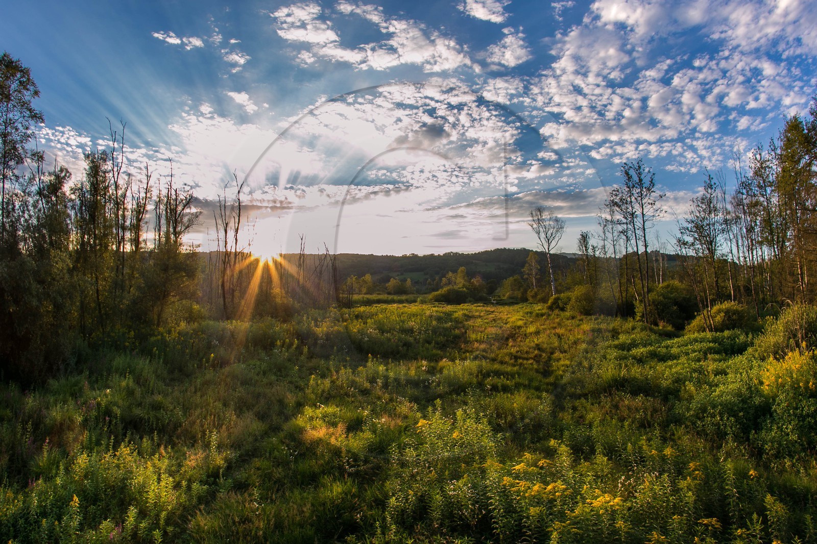 ENS de l'Isère, Tourbières de l'Herretang