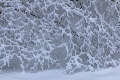 ENS de l'Isère, Les Ecouges
