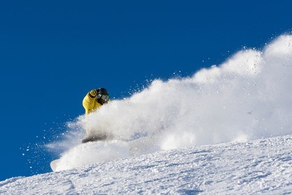 Surf des neige, Snowboard
