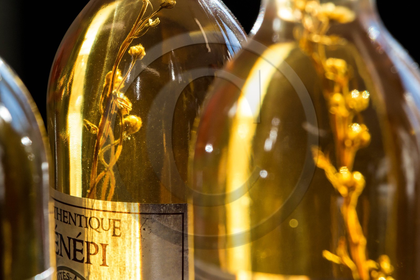 Orcières 1850, Génépi Guillaumette