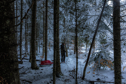 Film : La vallée des loups