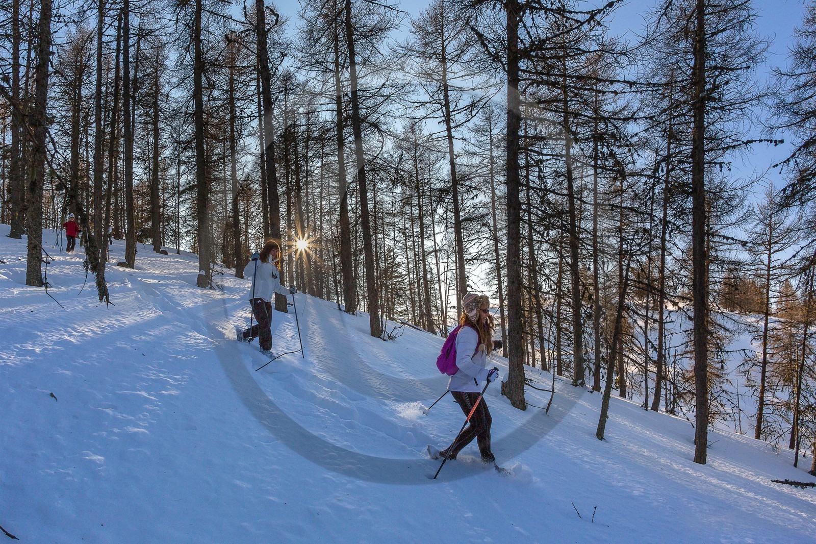 vallée de l'Ubaye, randonnée en raquettes à neige