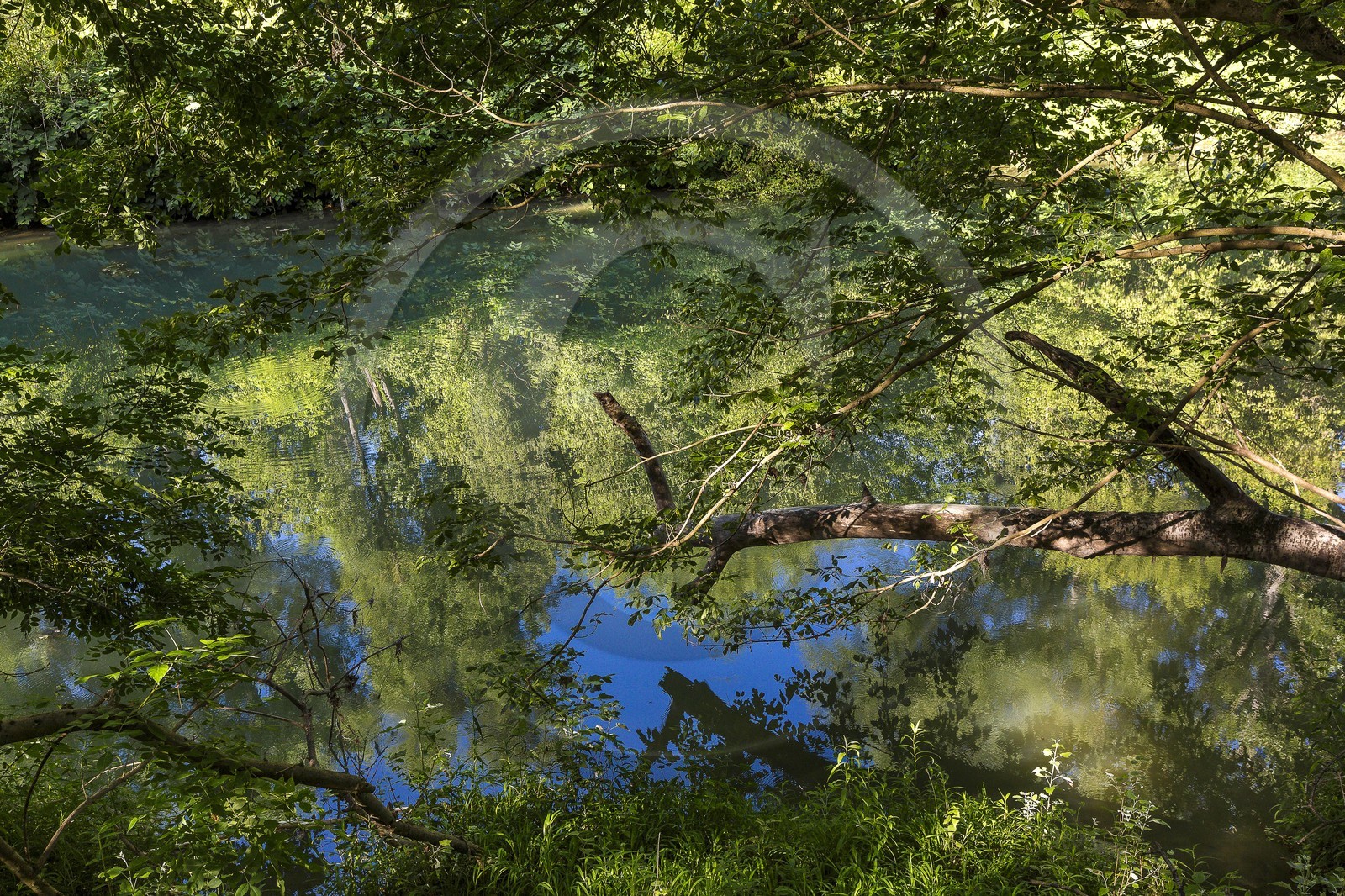 ENS de l'Isère, , le méandre des Oves