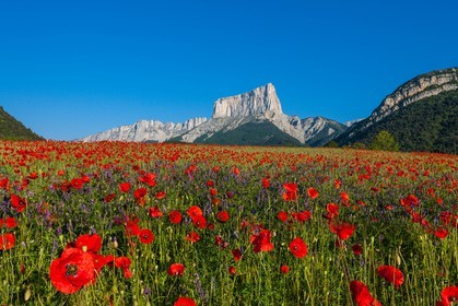 Trièves, le Mont-Aiguille