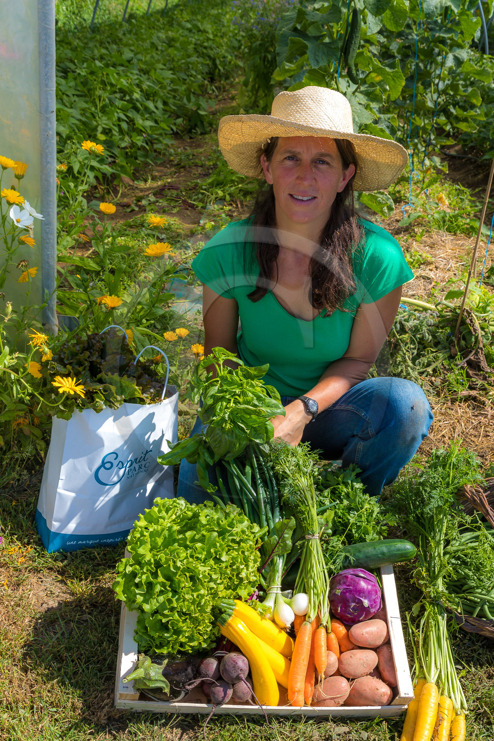 LéguMontagne Sylvie Jaussaud , Maraîchères bio