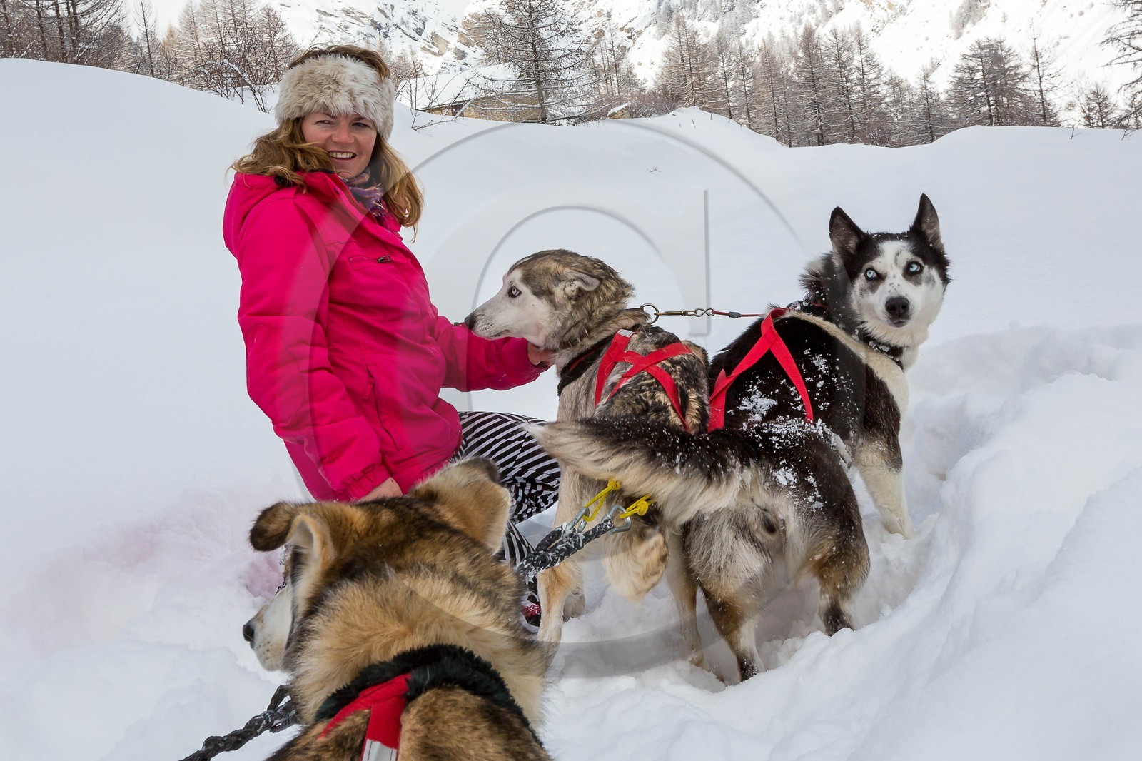 La Condamine-Châtelard, Sainte-Anne la Condamine, Coralie Bonnerot et ses chiens de traineau