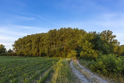 ENS de l'Isère, , le méandre des Oves
