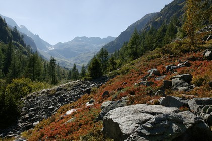 Réserve naturelle du Vallon de Bérard