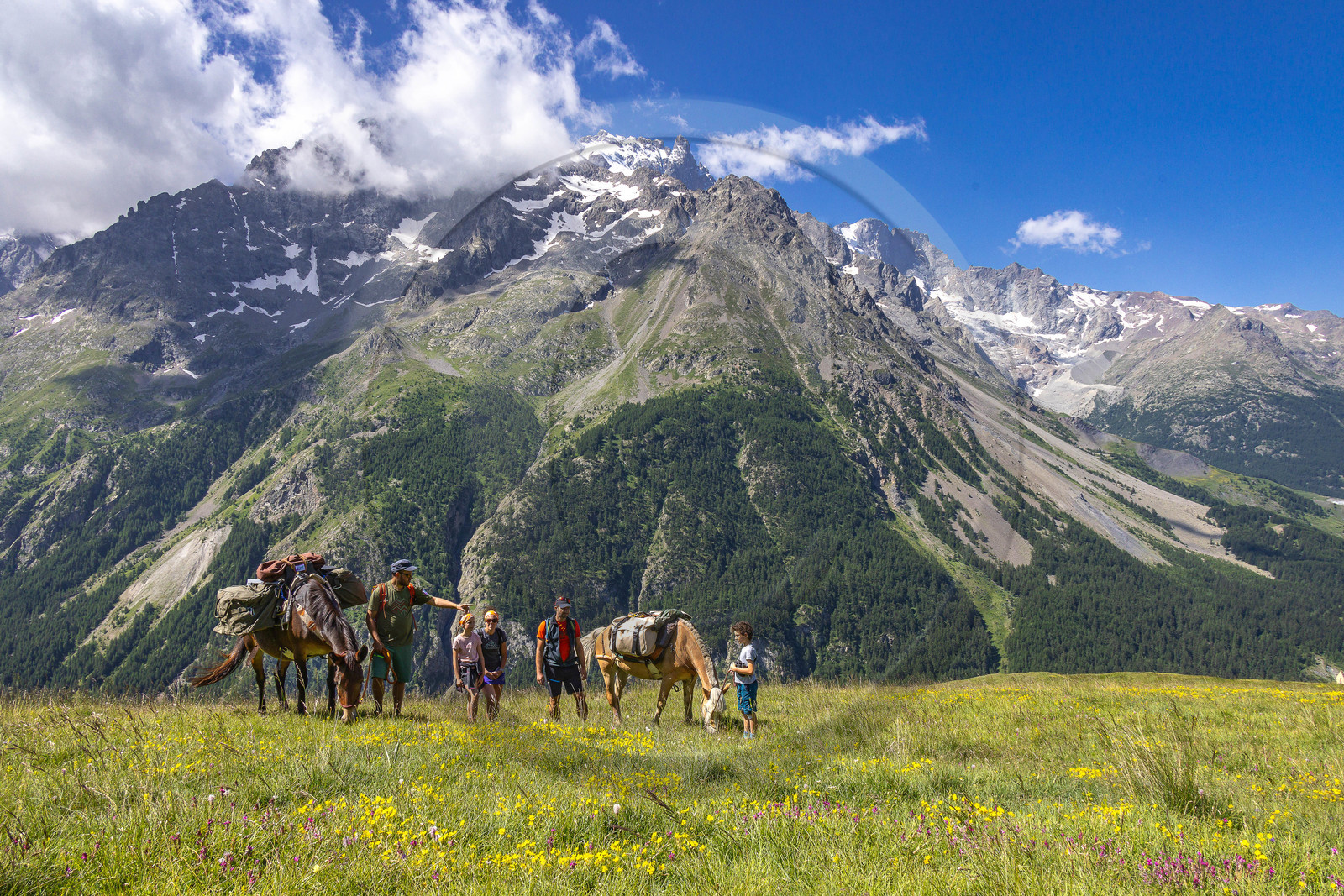 Trek famille avec animaux de bats