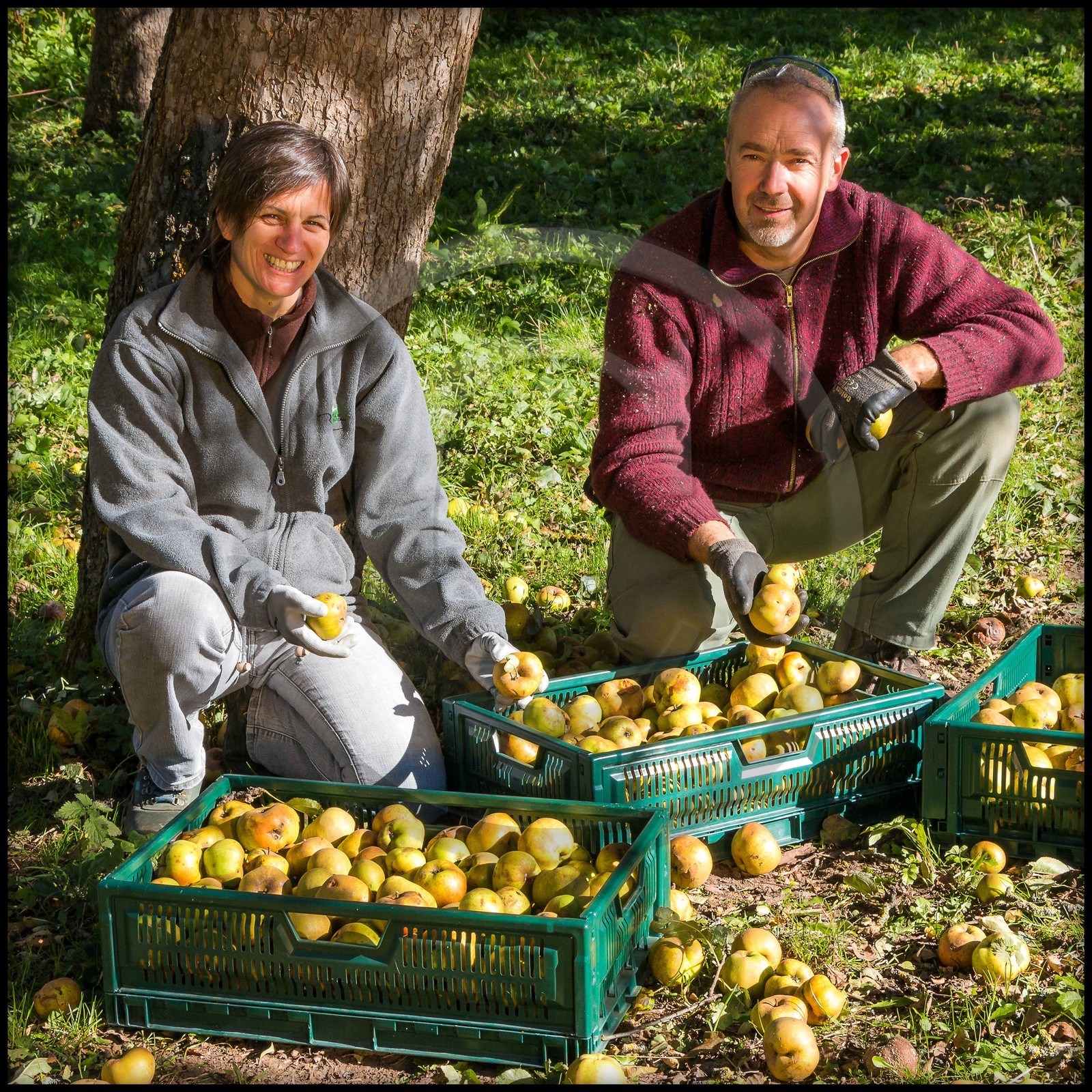 Etablissement Gayral, producteur de jus