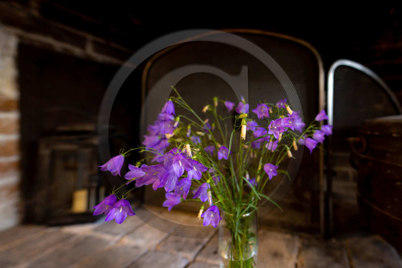 Chambres d'hôtes Les Primevères