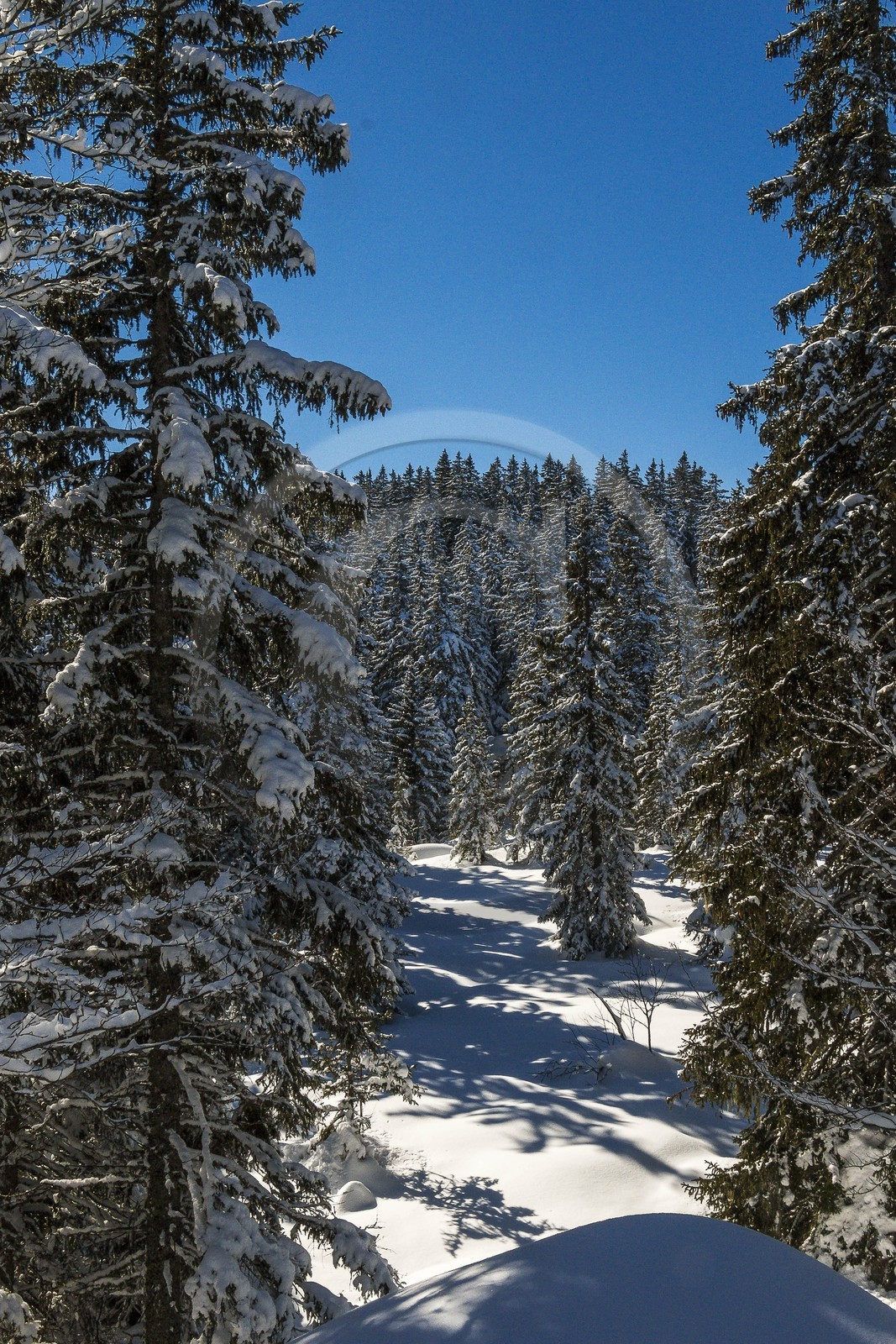 ENS de l'Isère, Plateau de la Molière et du Sornin