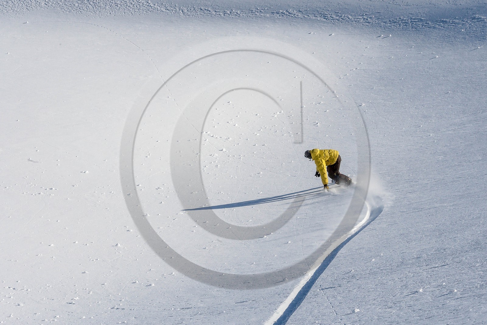 Surf des neige, Snowboard