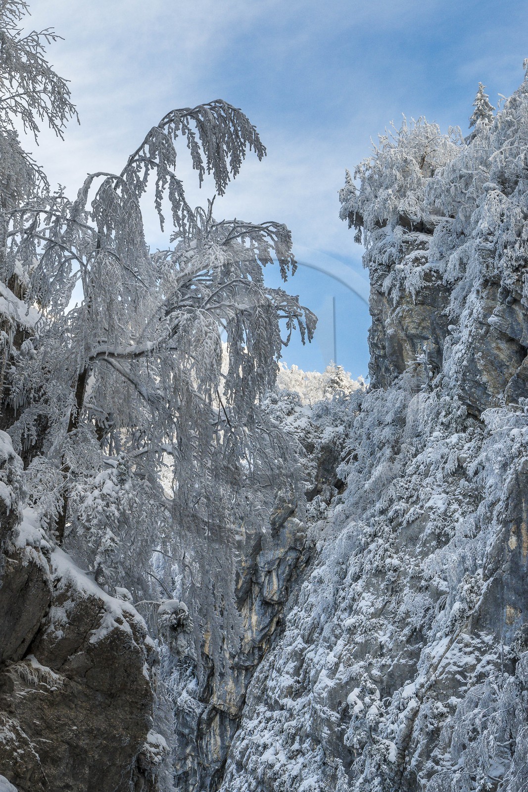 ENS de l'Isère, Les Ecouges