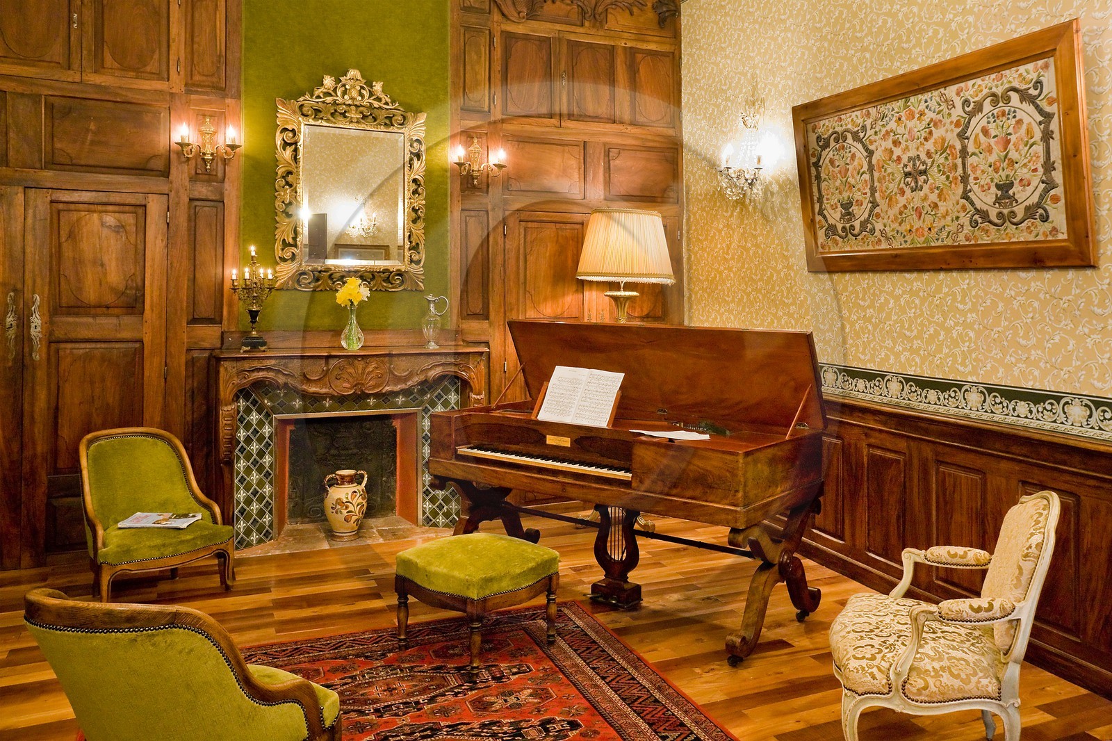 Château de Picomtal, le salon