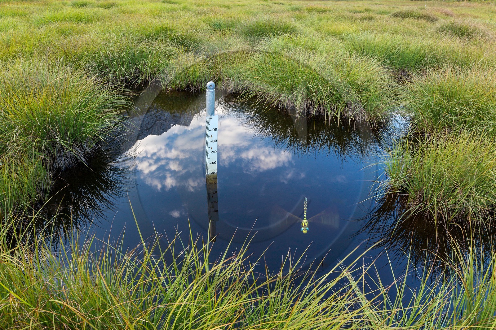 ENS de l'Isère,Tourbières du Peuil
