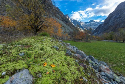 Vallée de la Bonne, village Le Désert