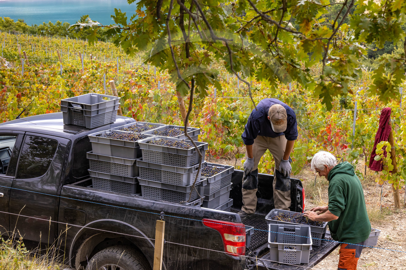Domaine du Mont Guillaume