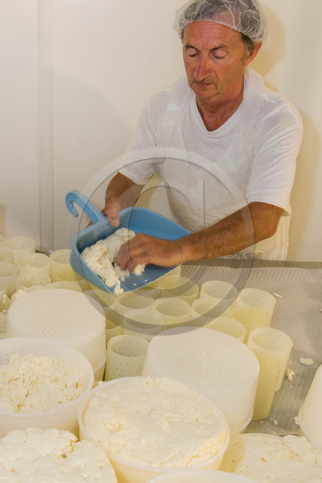 Vallée du Champsaur, fromagerie Ebrard