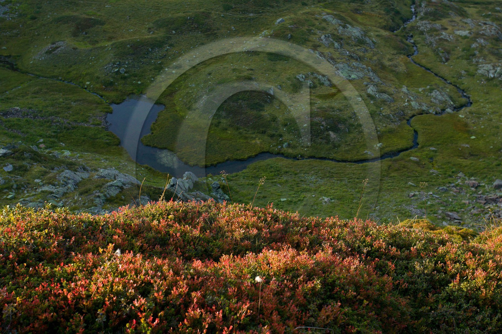Réserve naturelle de Carlaveyron, Lac de l'Aiguillette
