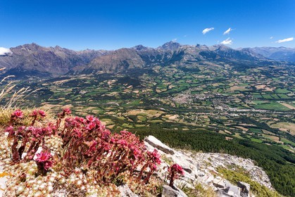 Saint-Bonnet-en-Champsaur