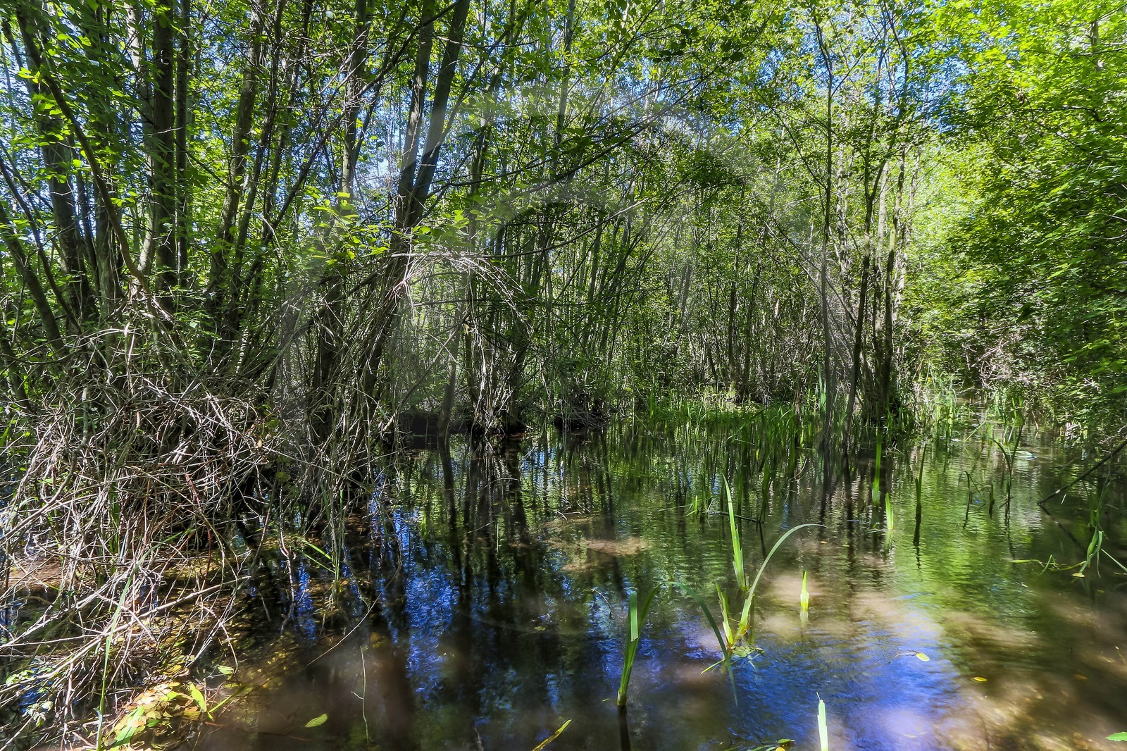ENS de l'Isère, Les Fontaines de Beaufort