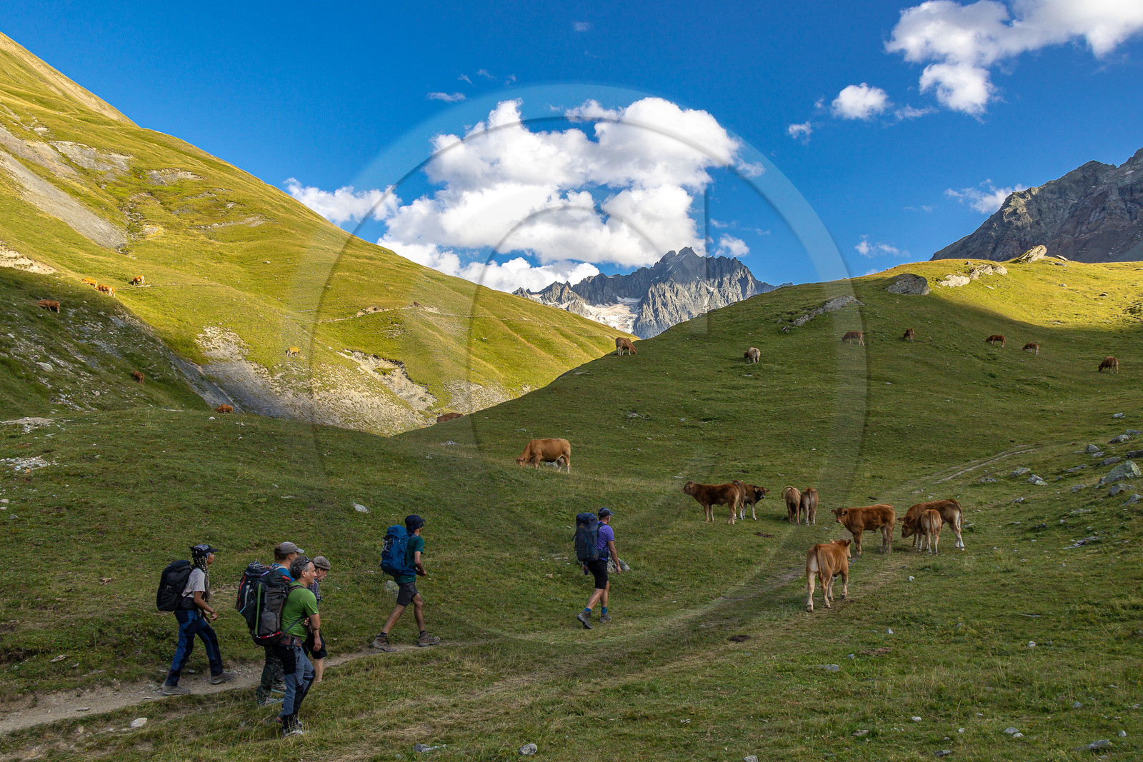 Chalet Refuge de Chamoissière