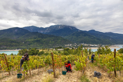 Domaine du Mont Guillaume