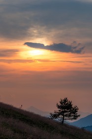 Montagne du Gau