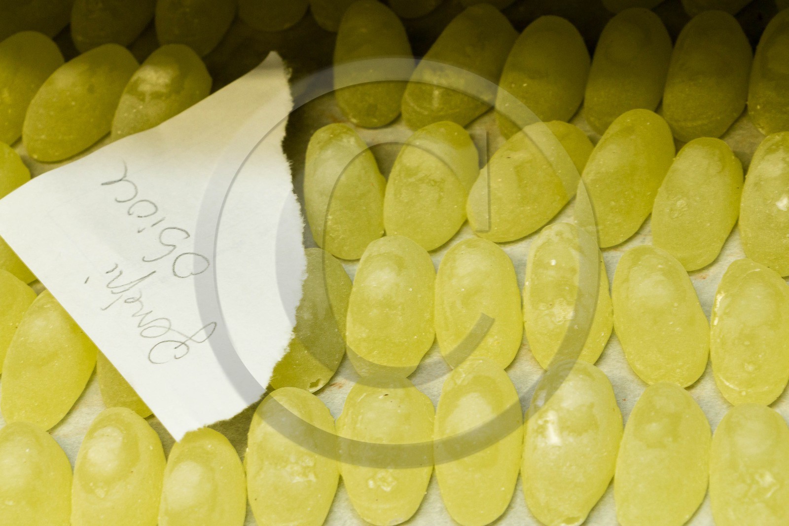 Vallée du Champsaur & Valgaudemar, Thierry SIAT Compagnon-chocolatier-patissier