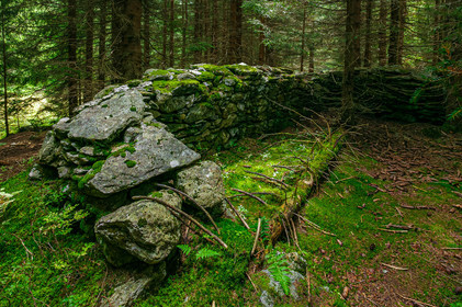 Ruines, vieux mur en pierre sèche