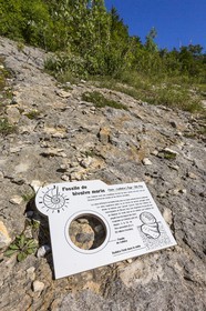 ENS de l'Isère, vallée fossile des Rimets