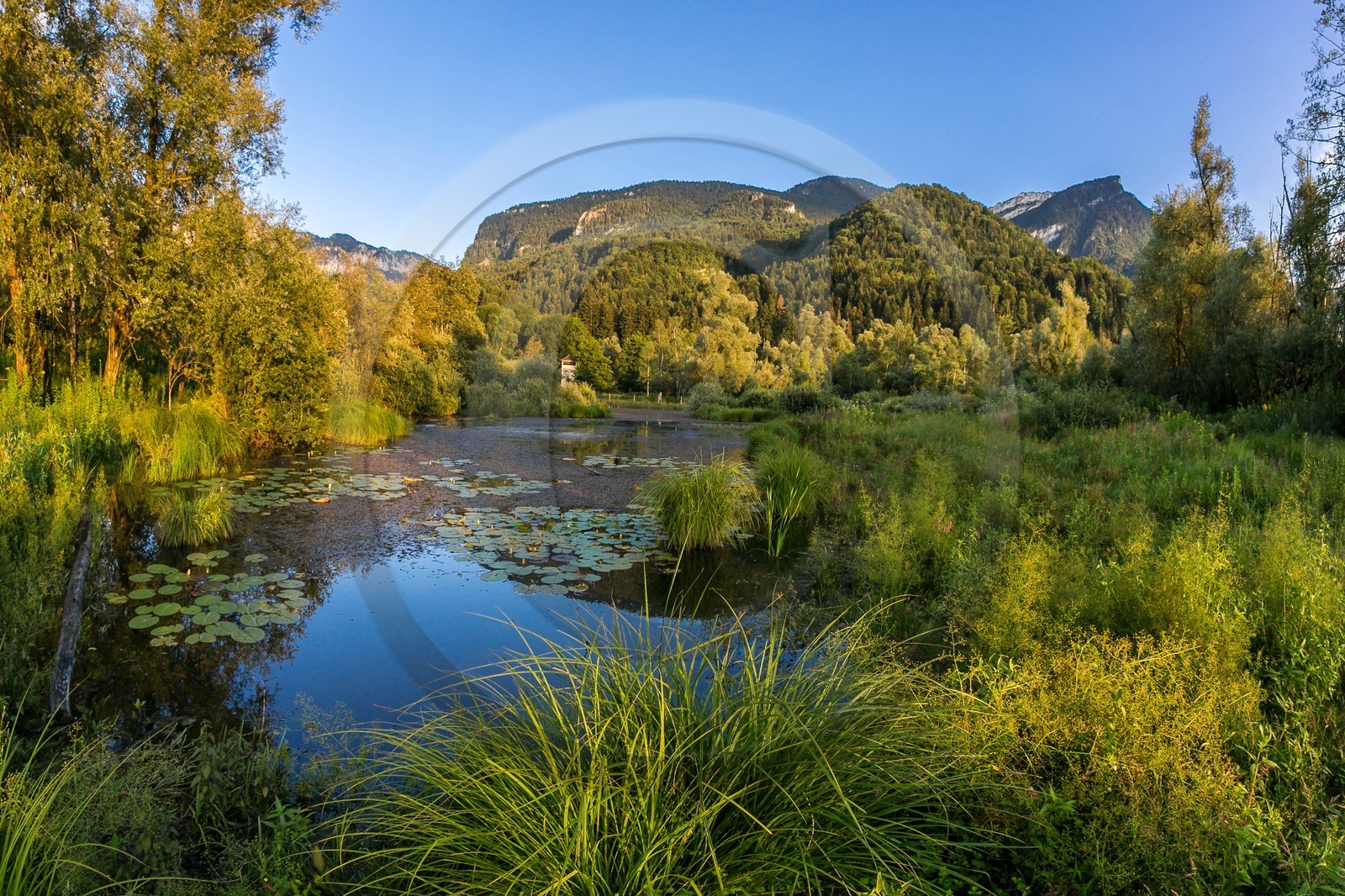 ENS de l'Isère, Tourbières de l'Herretang
