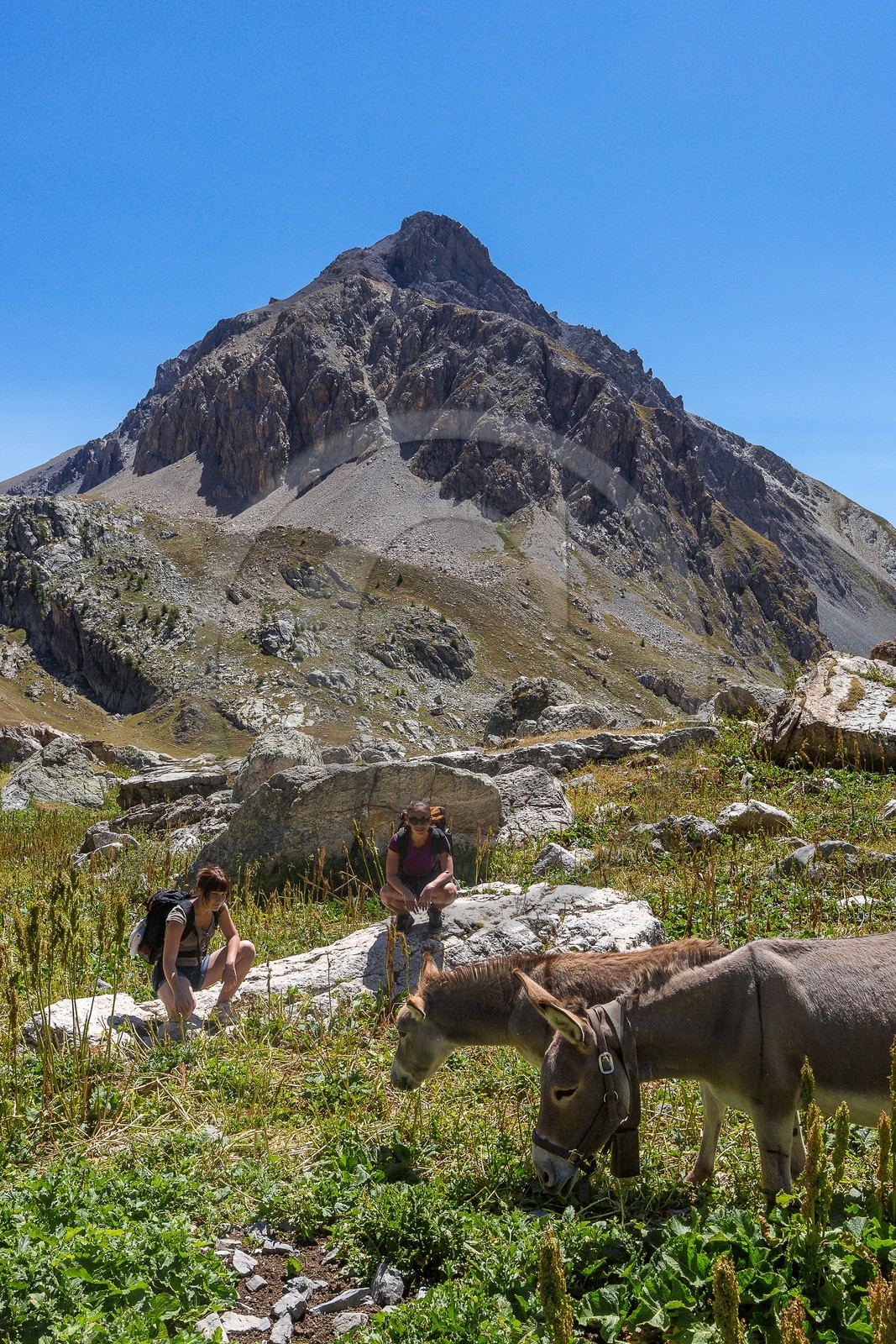 randonnée pédestre vallon de l'Orenaye (2482m), GR Tour du Chambeyron