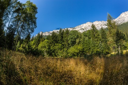 ENS de l'Isère,Tourbières du Peuil