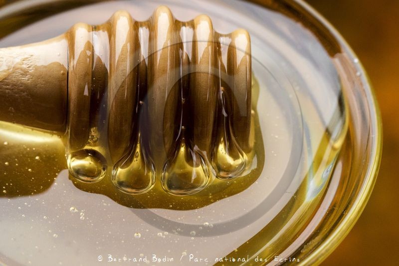 Patrick Challet apiculteur